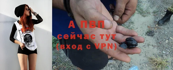 шишки Баксан