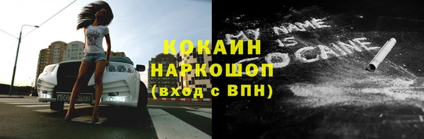 дживик Пересвет