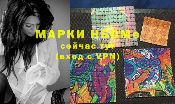 шишки Баксан