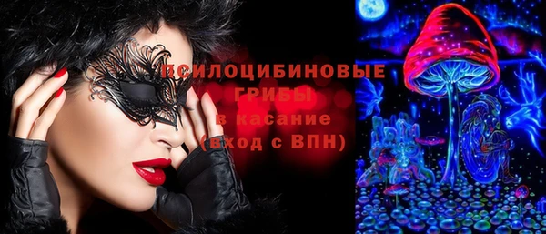 дживик Пересвет