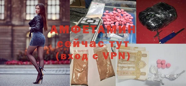 дживик Пересвет