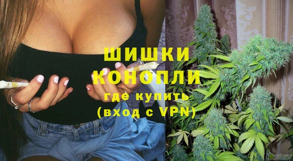 дживик Пересвет